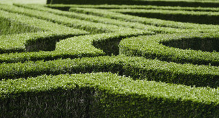 Large green hedge maze bird - hole free wallpaper