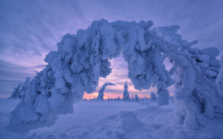 Snow arch winter pink sunset - a pink sky free wallpaper