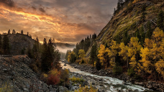 River forest bridge autumn sunset - river free wallpaper for desktop