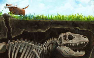 Dog skeleton monster illustration outdoors - the ground behind free wallpaper