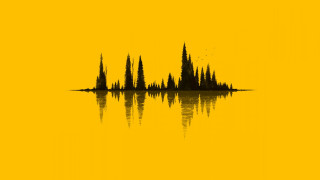 Yellow sky moon forest silhouette - forest free wallpaper for desktop