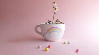 Cup flower candy rainbow naive 2 - the cup free wallpaper