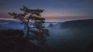 Mountain sunset tree lake clouds - a view of the mountains free wallpaper