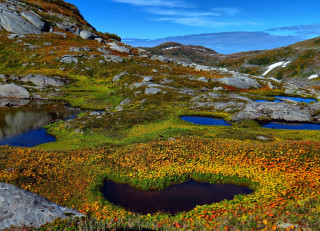 Autumn pond flowers mountains sky - a small pond free wallpaper