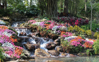 Cherry fountain waterfall garden nature - flower and trees free wallpaper