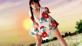 Woman dress glasses flower field - giantess art free wallpaper