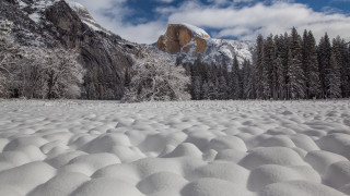Snowy mountains forest lake rocks - mountain and trees free wallpaper