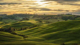 Green field trees hills sunset - tree and hills free wallpaper