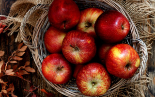 Basket apples leaves berries harvest - fall vibrancy free wallpaper