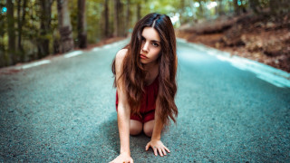 Woman red bodysuit crouching woods - the wood free wallpaper