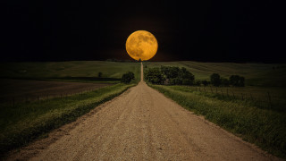 Dirt road yellow moon field - full moon free wallpaper