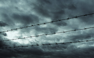 Barbed wire fence bird cloudy - atmosphere free wallpaper