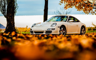 White car autumn leaves lake - a leaf free wallpaper for desktop