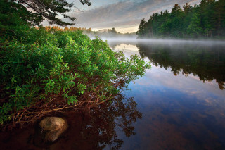 Lake fog trees rock autumn - a rock in the foreground free wallpaper for desktop