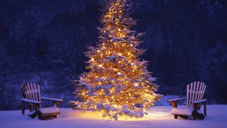 Christmas tree snow chairs night - two chair free wallpaper