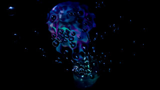 Blue purple liquid floating bubbles - liquid free wallpaper for desktop