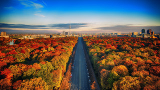 Long road autumn leaves burning - berlin secession free wallpaper