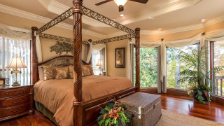 Canopy bedroom large window trees - a large window free wallpaper for desktop