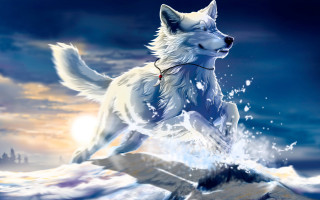 White wolf running water red - a white wolf free wallpaper