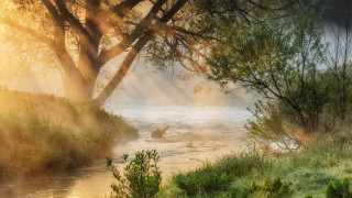 River boat trees sunbeams impressionist - sunbeam free wallpaper