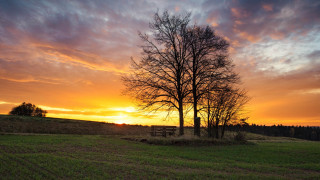 Sunset tree bench field ruins - german romanticism free wallpaper