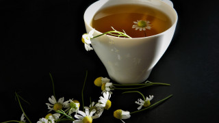 Tea flower daisies art photography - bracha l. ettinger free wallpaper