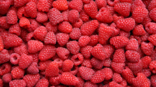 Raspberries macro photograph food flower - berry free wallpaper