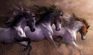 Horses running field sky clouds - digital painting free wallpaper