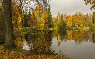Autumn lake trees leaves fall - akseli gallenkallela free wallpaper