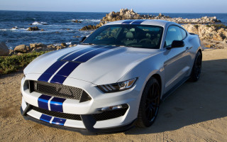 White blue mustang beach ocean - the beach next free wallpaper