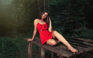 Woman red dress forest sitting - the wood free wallpaper