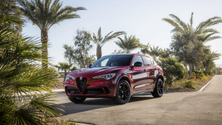 Red alfa suv beach palm - sharp line free wallpaper for desktop