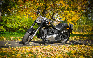 Motorcycle autumn leaves park road - american impressionism free wallpaper