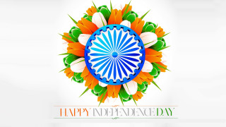 Colorful indian flag wheel flowers - processed free wallpaper for desktop