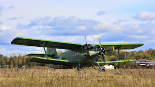 Green airplane field forest sky - top of a field free wallpaper
