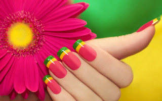 Woman hand pink flower yellow 2 - bright color free wallpaper