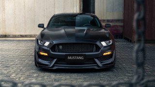 Black mustang building chainlink fence - a chain link fence free wallpaper