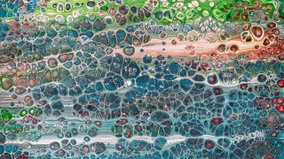Colorful wave bubbles abstract organic - free rain wallpaper