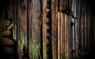 Wooden wall moss door photorealism - derold page free wallpaper
