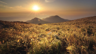 Grassy mountain sunset sunshine horizon - murata range free wallpaper