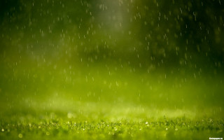 Green field rain shining nature - art green free wallpaper