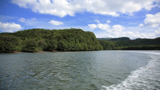 Boat river forest hillside sunny - a river next free wallpaper