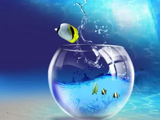 Fish jumping bowl ocean blue 2 - blue free wallpaper for desktop