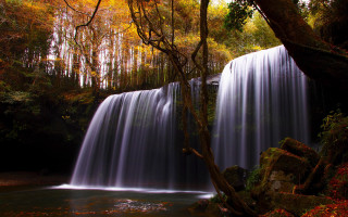 Waterfall tree stream fall foliage - free nature wallpaper
