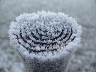 Snow covered plant stem macro - surface and a blurry background free wallpaper