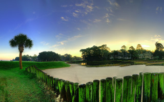 Green fence lake house palm - a palm tree in the background free wallpaper