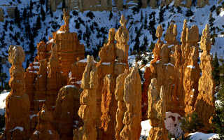 Tall rocks snow mountain forest - tree and snow free wallpaper