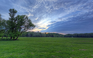 Field trees grass sunset cloudy - david brewster free wallpaper
