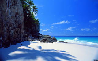 Beach rock wall palm trees - a white sand beach free wallpaper