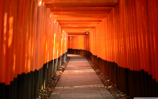 Orange torii lights reflection sunset - side of it free wallpaper